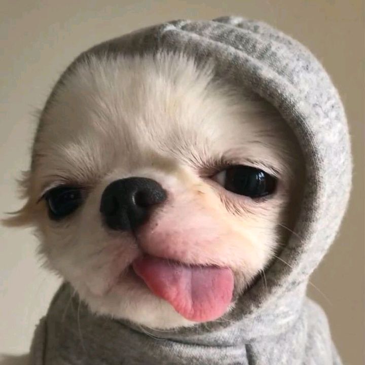 ครีม