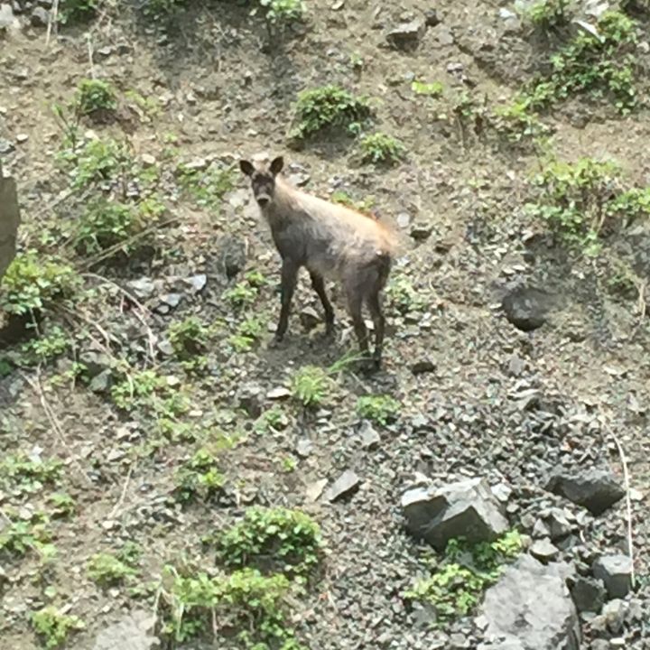 おじいさん