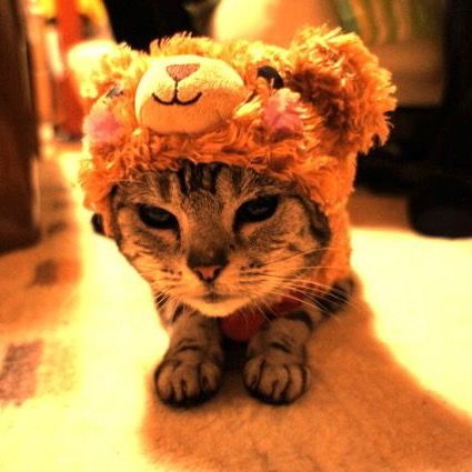 けあな
