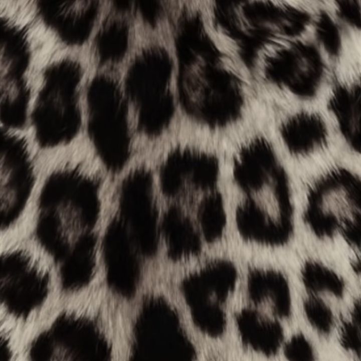 user’🐆