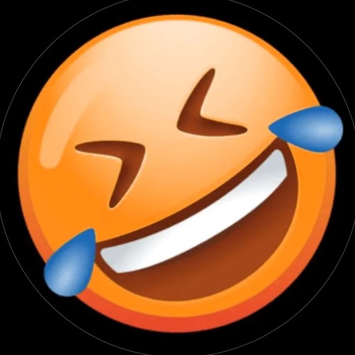funny animals
