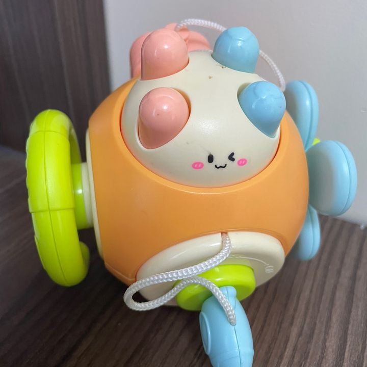 Pet