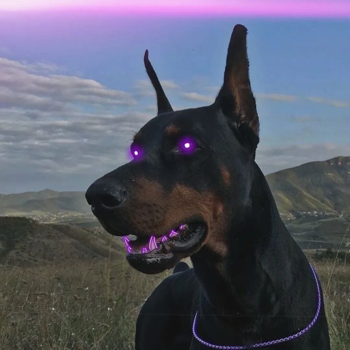 VOVA