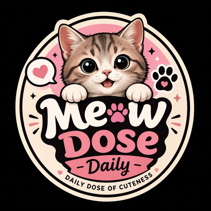 Meowdosedaily