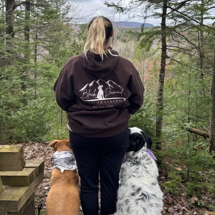 Black Diamond Dog Training