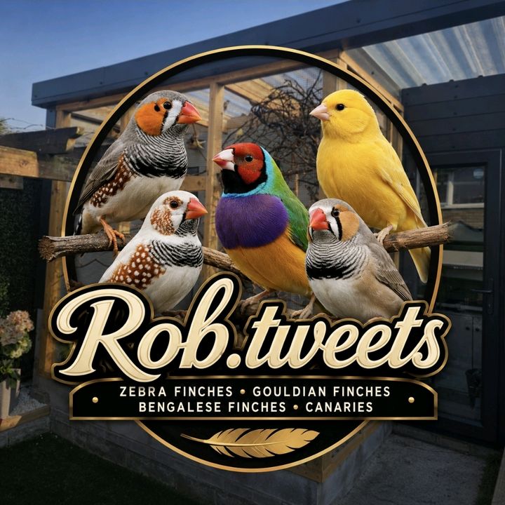 RobbieTheWelshlad