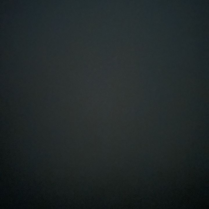 𝐋’🦈