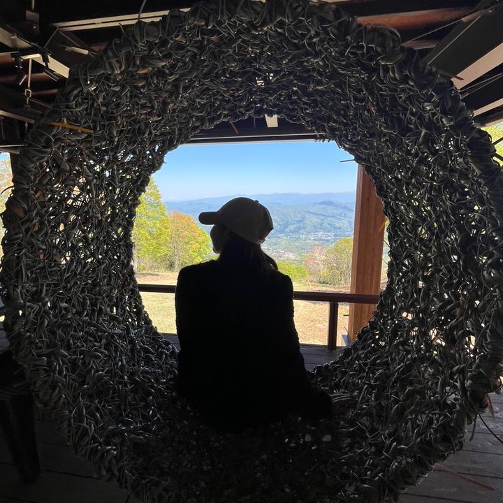 ぽぽ旅