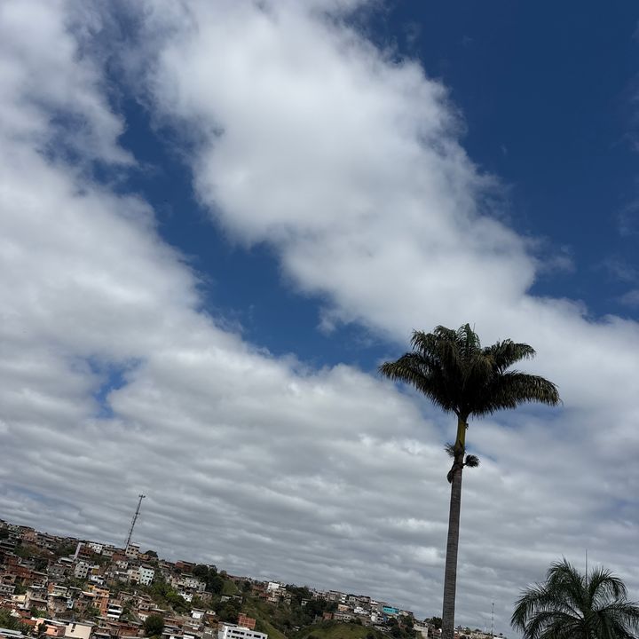 Gabizão!