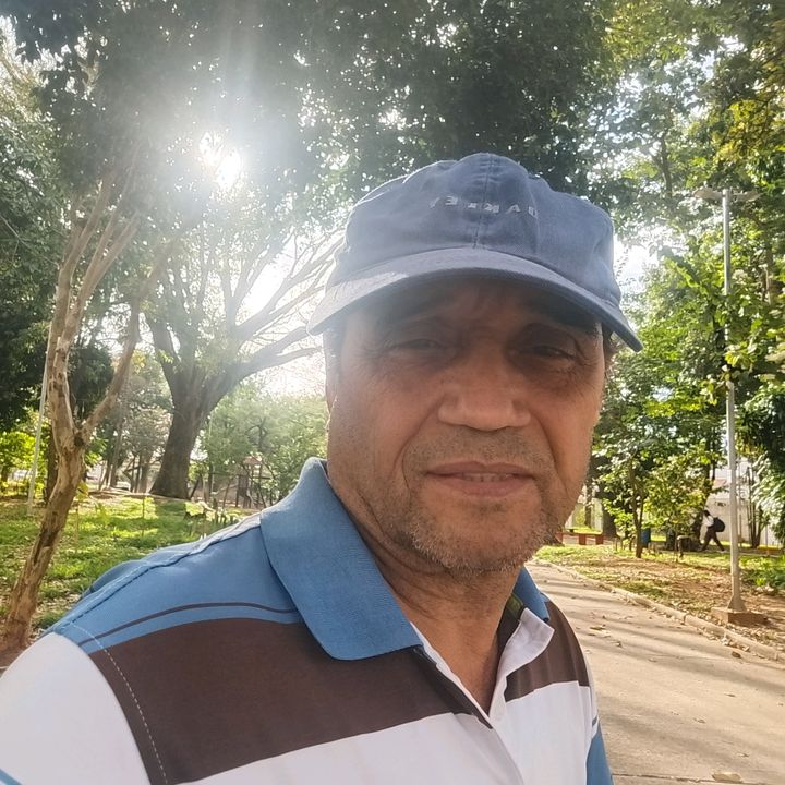 amilton gpt