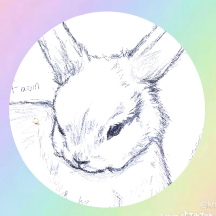 vfawn