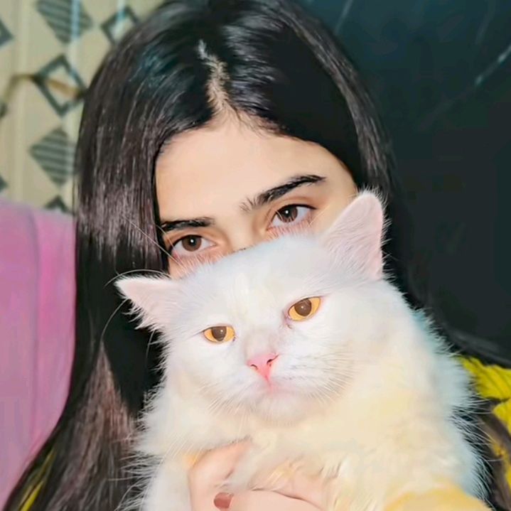 🥀آپکی اپنی زنیب ❤️