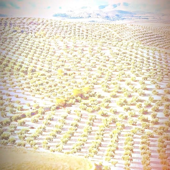jsixbnwkx