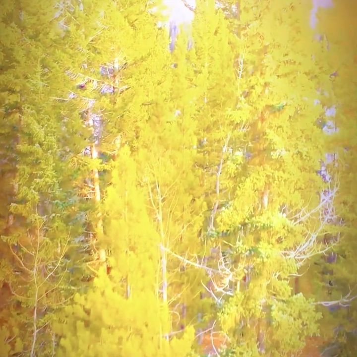 shahahkkdn