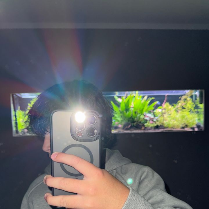 𝒟𝑜𝓂𝒾𝓃𝒾𝓀