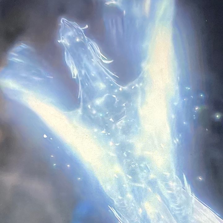 Ty