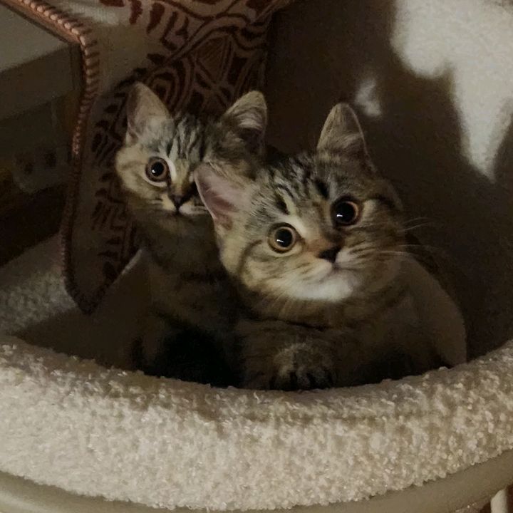 Jiji&Lily