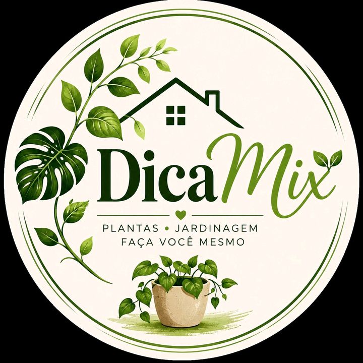 DicaMix