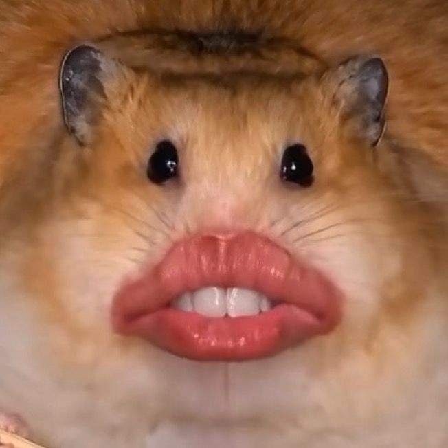 Ratita pepuda
