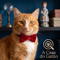 A Casa do Gatão