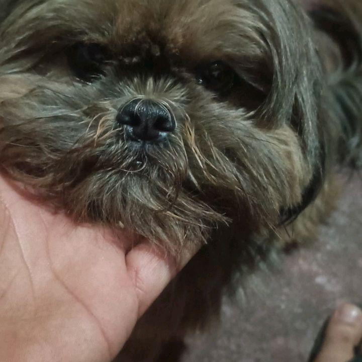 Lemes ribeiro utilidades
