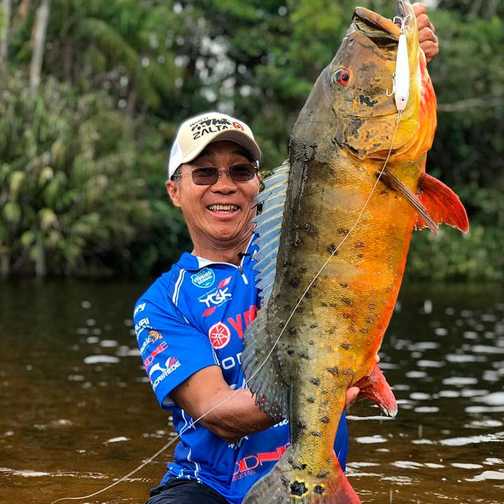 NELSON NAKAMURA