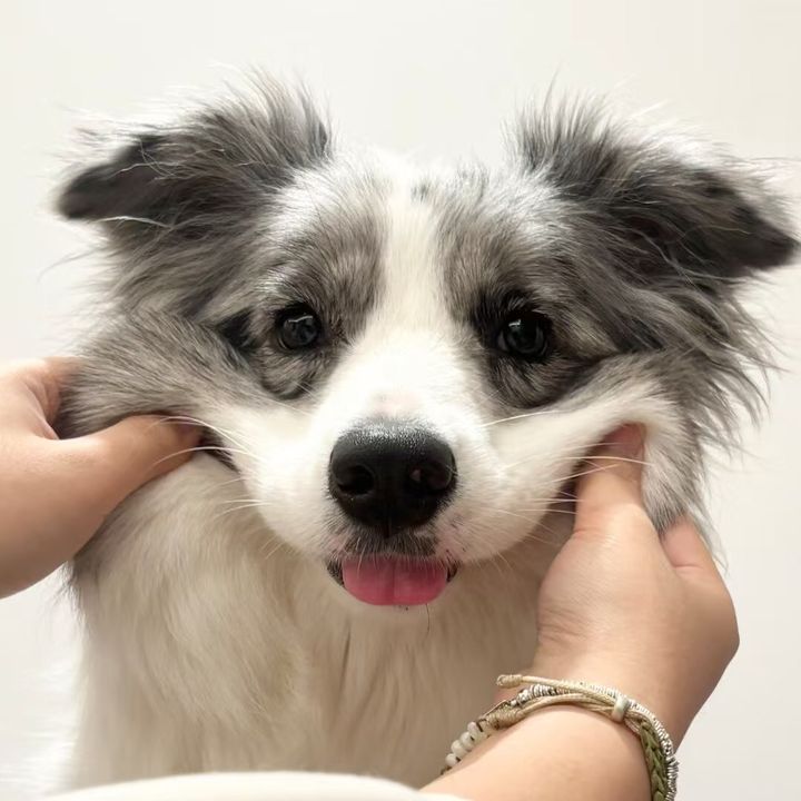 Smile