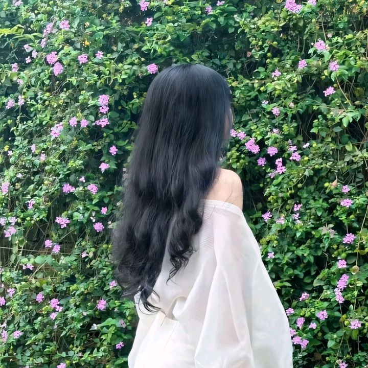vy trieu