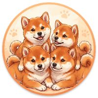 我が家の柴~ズ