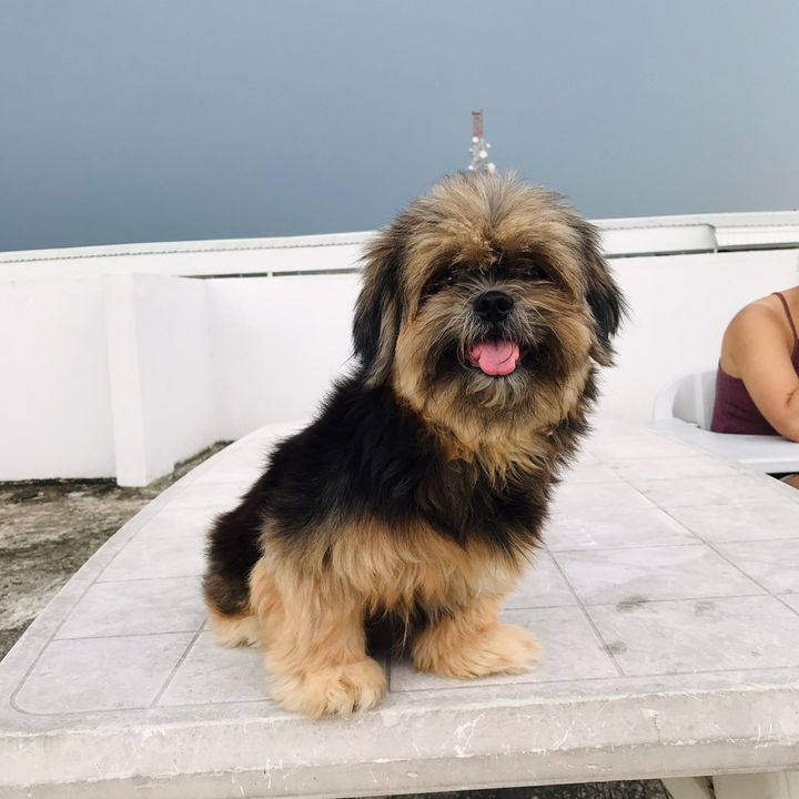 BaxterBaste