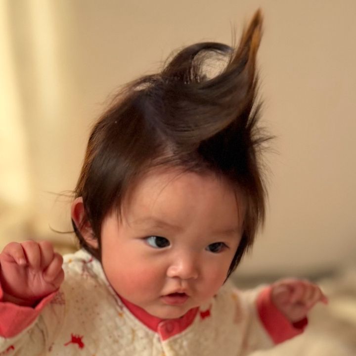 リアルメルちゃん📛ことヘラクレスちゃん