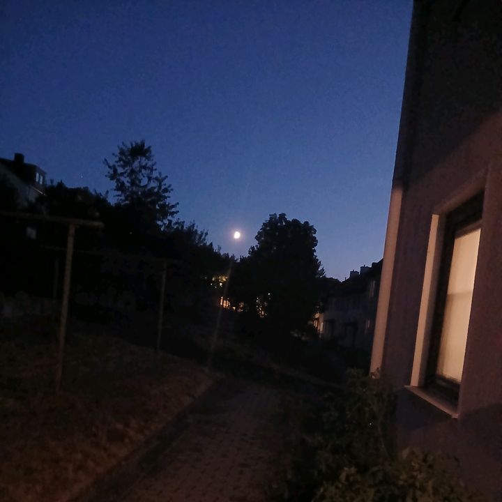 بسمة امل