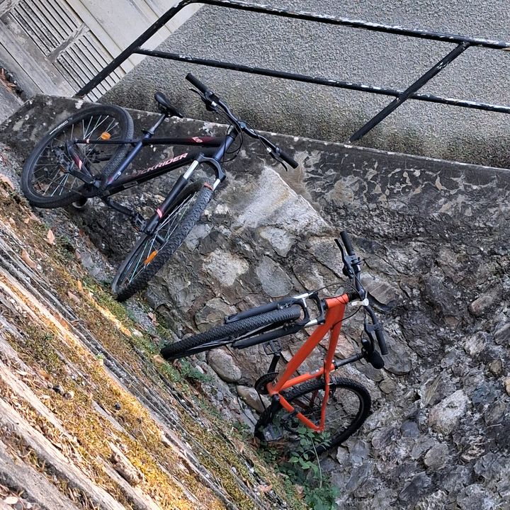 DESCENTE