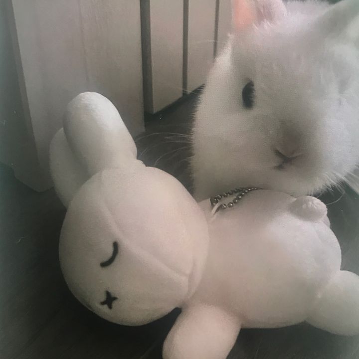same little