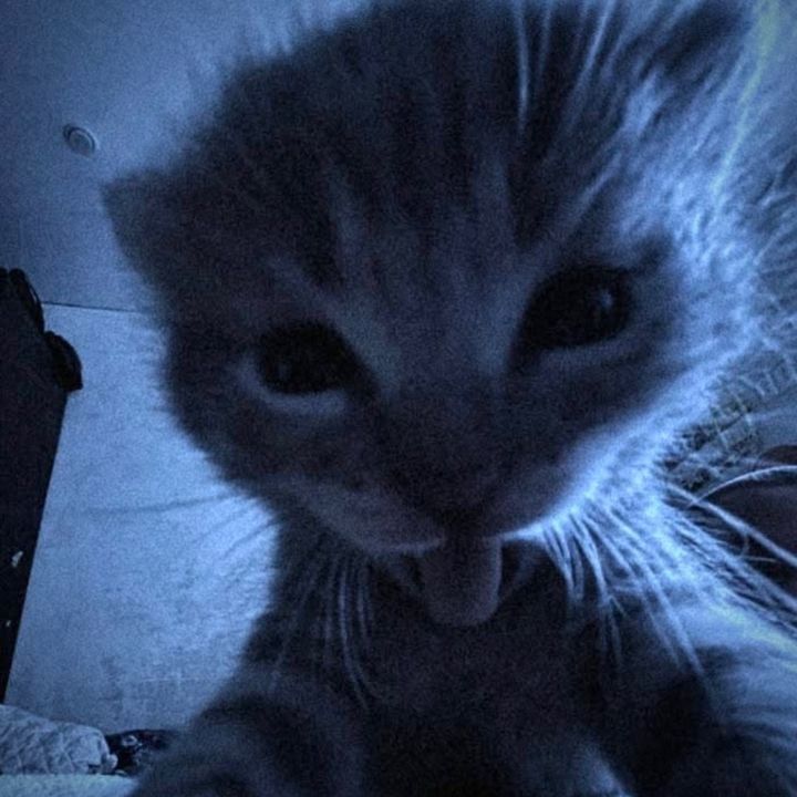 leo