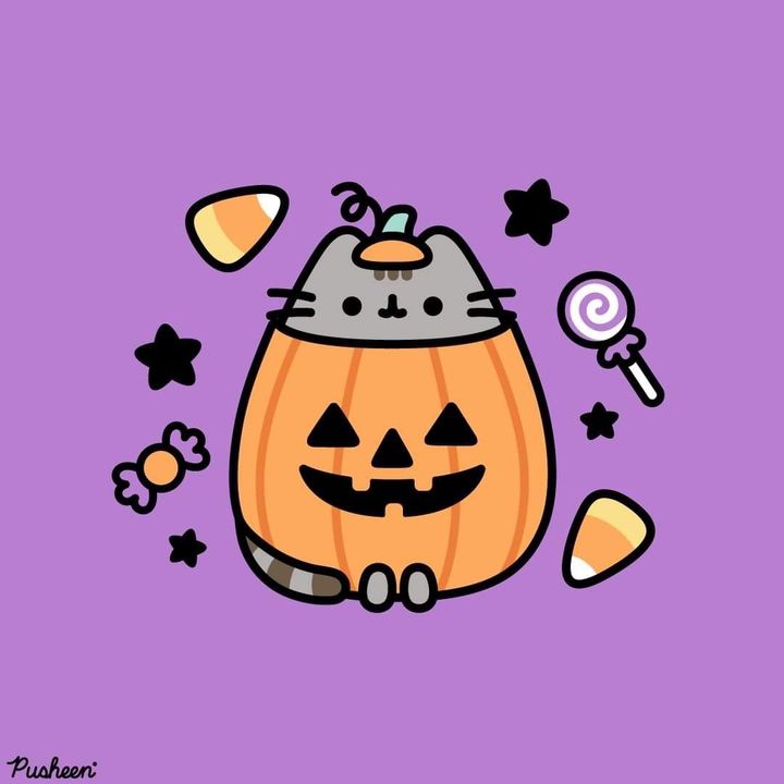 *＊✿❀єℓαяα❀✿＊*