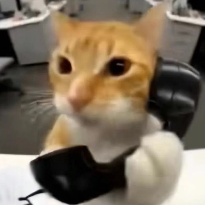 Pixel4ted
