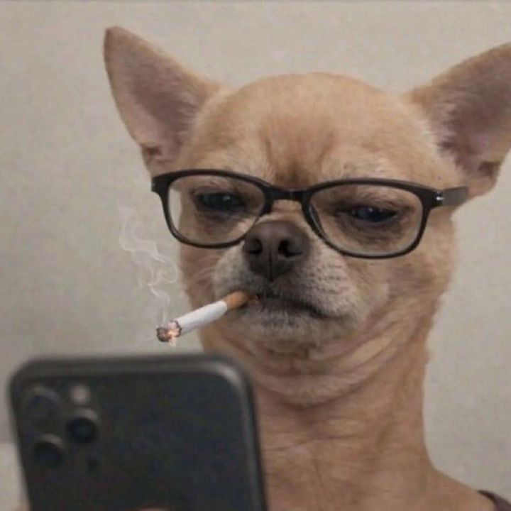 Gars qui parle d’animaux