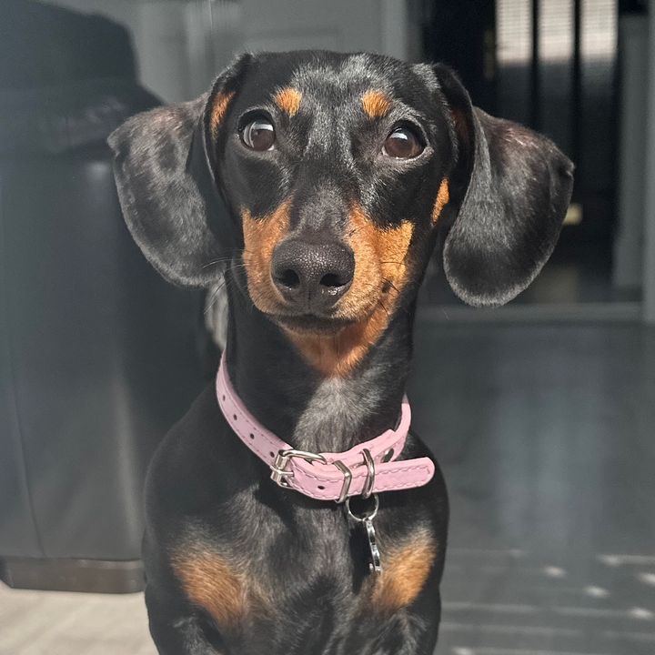 Princess Ruby