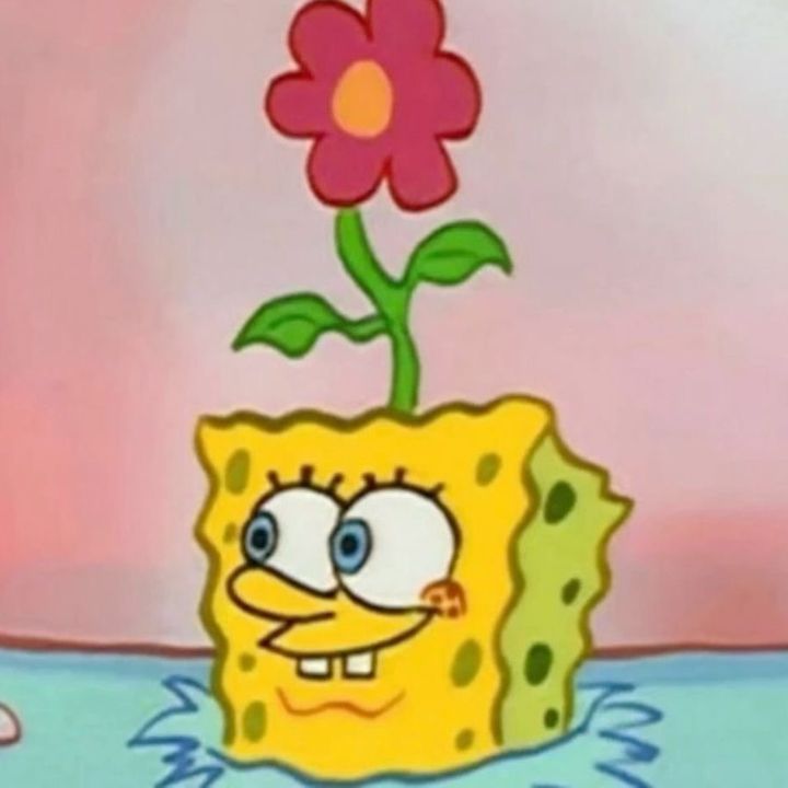 spongebobforall