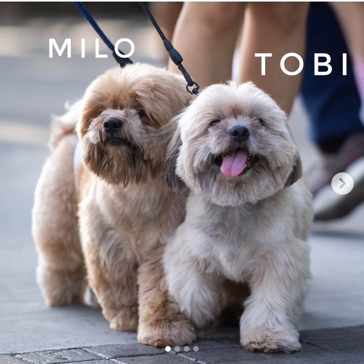 Tobi & Milo