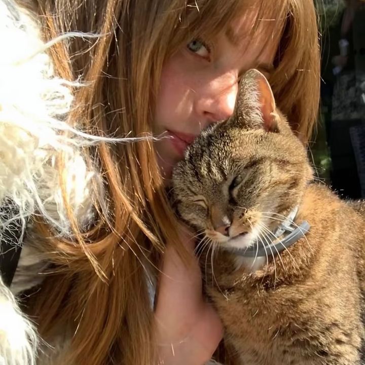 FurryFinds