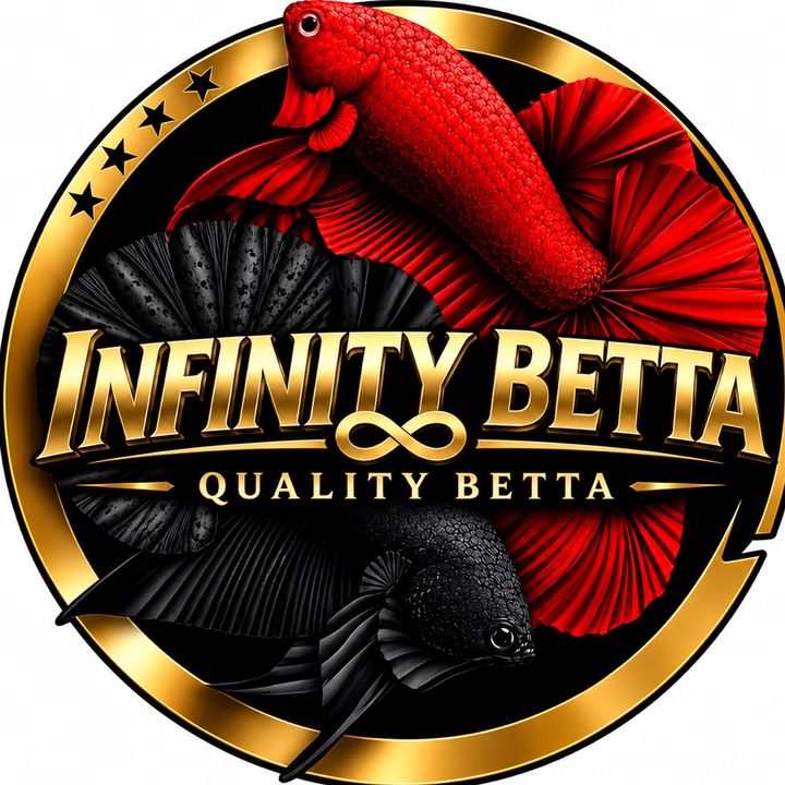 Infinity Betta