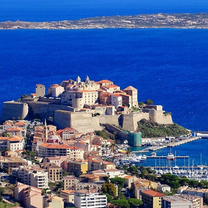 CALVI