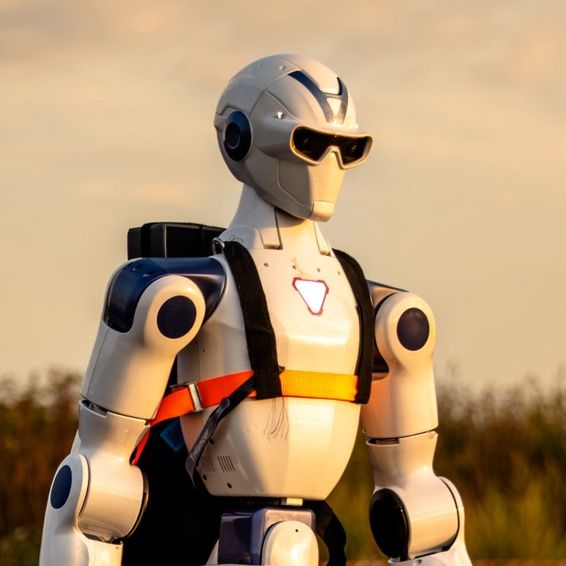 Rudi Robot