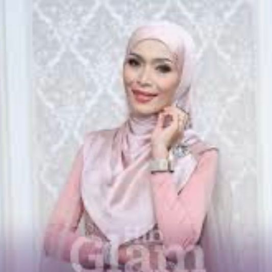 Amyza Fans