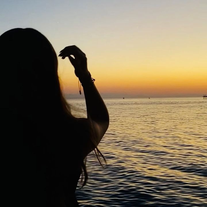 🌺🌺