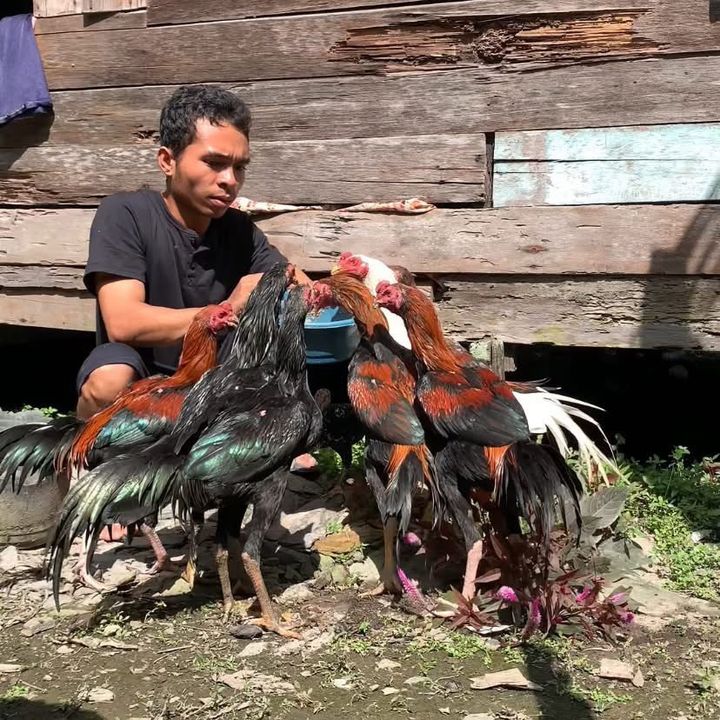 Abdibangdi3