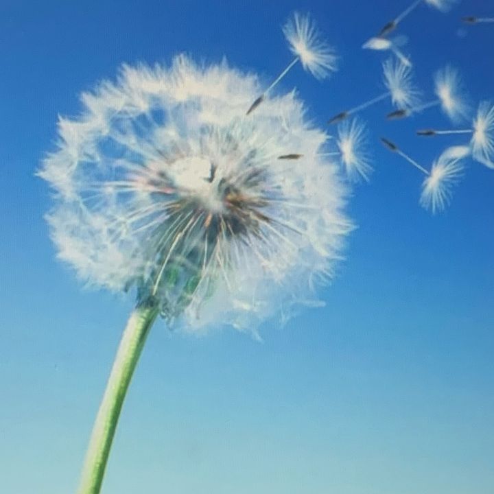 suning.mngakh