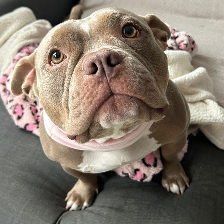 Dama❤️